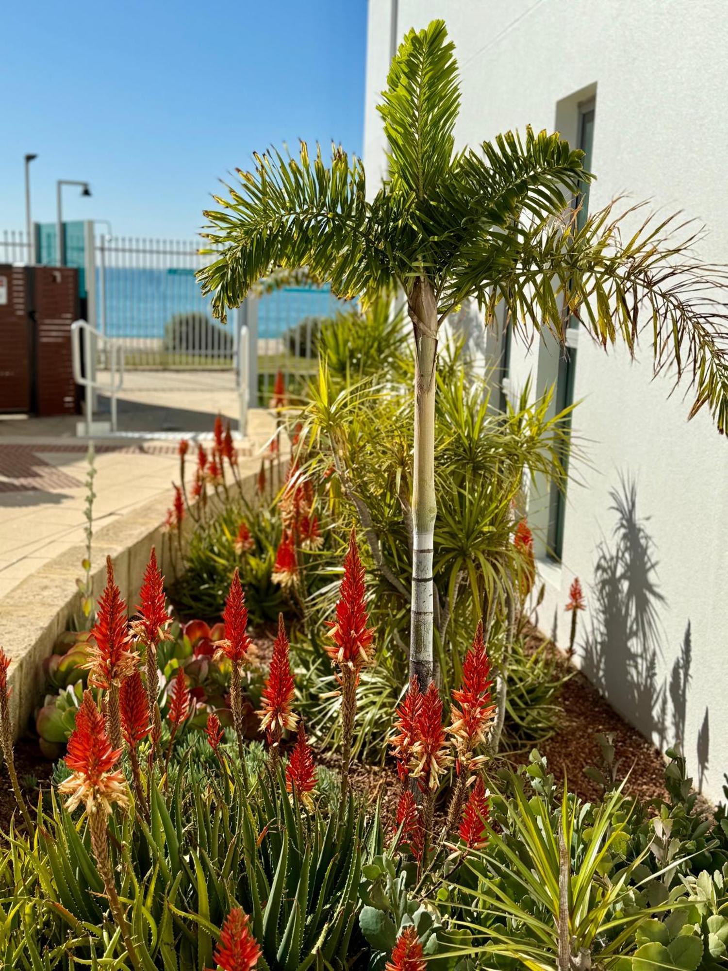 An Ocean,Beachfront And Pool View Apartment 210 Mandurah Buitenkant foto